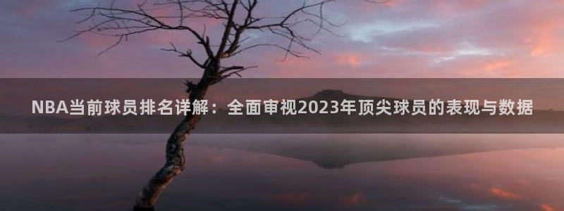 NBA当前球员排名详解：全面审视2023年顶尖球员的表现与数据