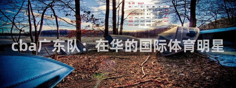 cba广东队：在华的国际体育明星