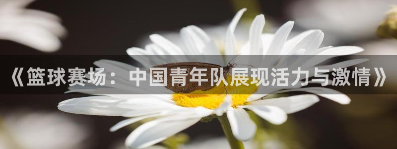《篮球赛场：中国青年队展现活力与激情》