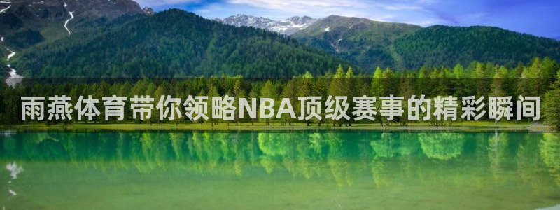 雨燕体育带你领略NBA顶级赛事的精彩瞬间