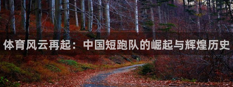 体育风云再起：中国短跑队的崛起与辉煌历史