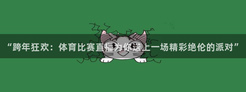 “跨年狂欢：体育比赛直播为你送上一场精彩绝伦的派对”