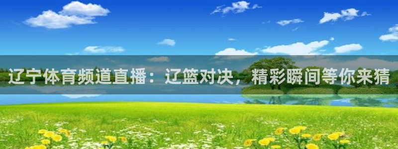 辽宁体育频道直播：辽篮对决，精彩瞬间等你来猜