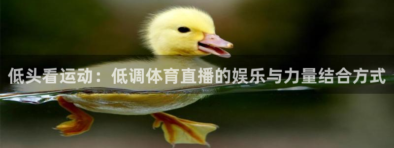 低头看运动：低调体育直播的娱乐与力量结合方式