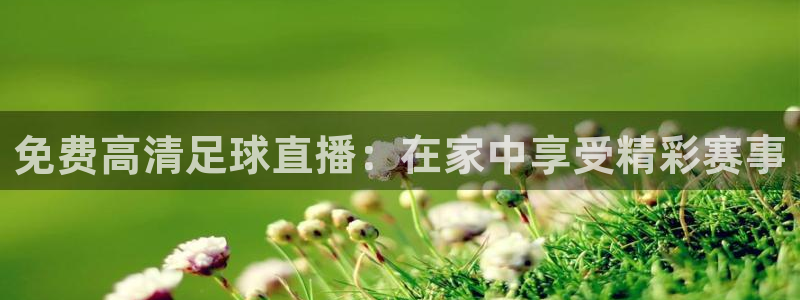 免费高清足球直播：在家中享受精彩赛事