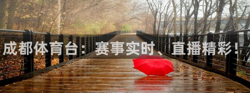 成都体育台：赛事实时、直播精彩！