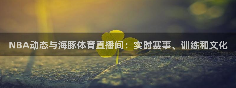 NBA动态与海豚体育直播间：实时赛事、训练和文化