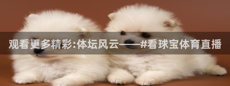 观看更多精彩:体坛风云——#看球宝体育直播