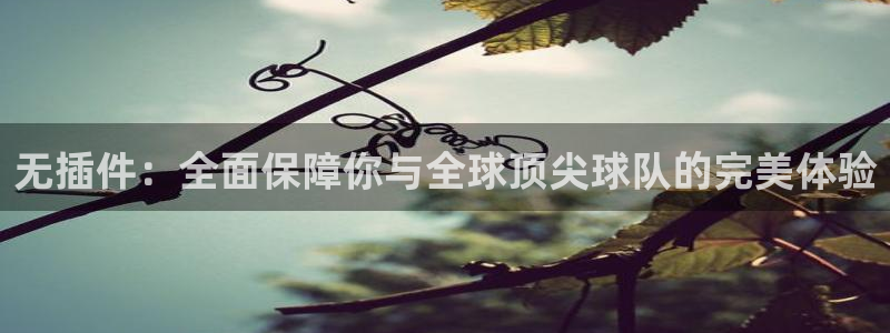 无插件：全面保障你与全球顶尖球队的完美体验