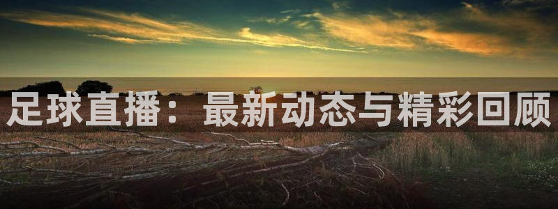 足球直播：最新动态与精彩回顾