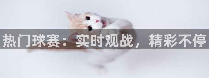 热门球赛：实时观战，精彩不停