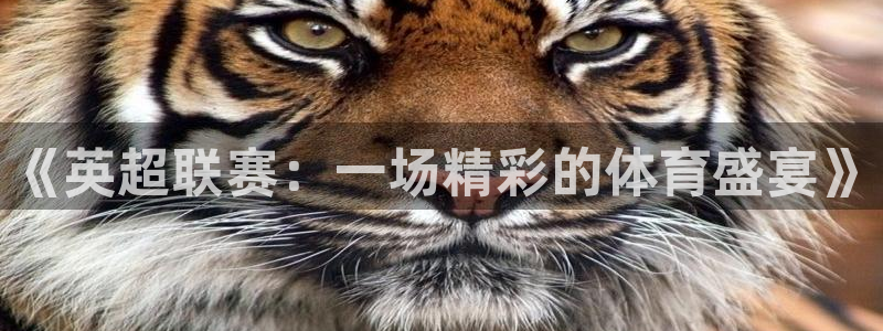 《英超联赛：一场精彩的体育盛宴》