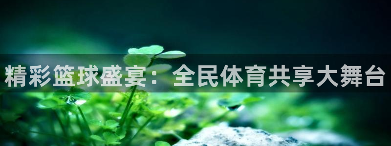 精彩篮球盛宴：全民体育共享大舞台