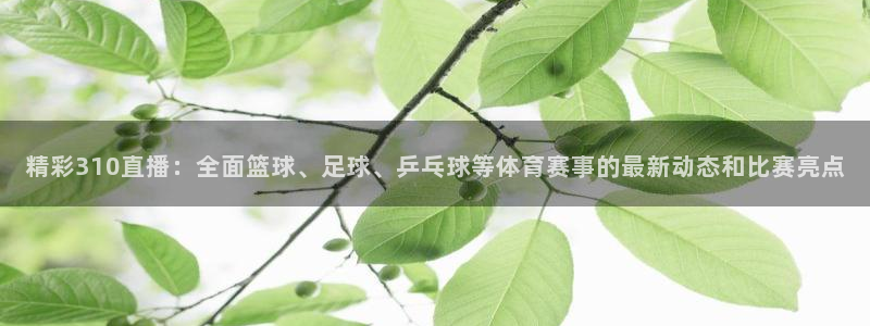 精彩310直播：全面篮球、足球、乒乓球等体育赛事的最新动态和比赛亮点