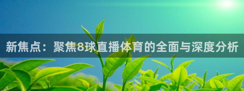 新焦点：聚焦8球直播体育的全面与深度分析