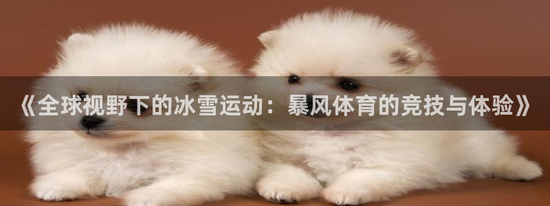 《全球视野下的冰雪运动：暴风体育的竞技与体验》