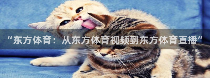 “东方体育：从东方体育视频到东方体育直播”