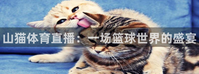 山猫体育直播：一场篮球世界的盛宴