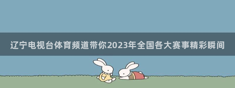辽宁电视台体育频道带你2023年全国各大赛事精彩瞬间
