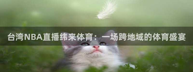 台湾NBA直播纬来体育：一场跨地域的体育盛宴