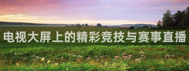电视大屏上的精彩竞技与赛事直播