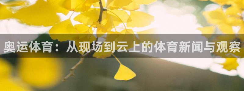奥运体育：从现场到云上的体育新闻与观察