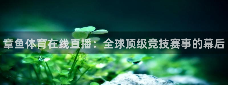 章鱼体育在线直播：全球顶级竞技赛事的幕后