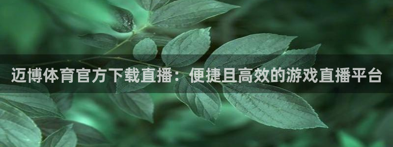 迈博体育官方下载直播：便捷且高效的游戏直播平台