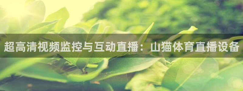 超高清视频监控与互动直播：山猫体育直播设备