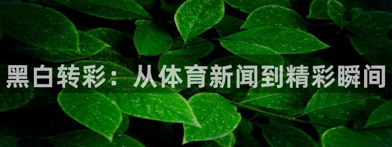 黑白转彩：从体育新闻到精彩瞬间