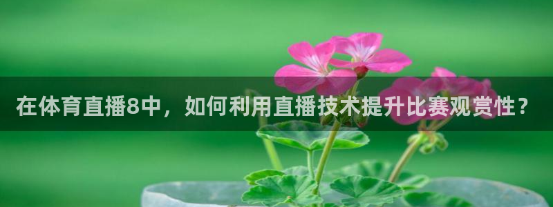 在体育直播8中，如何利用直播技术提升比赛观赏性？