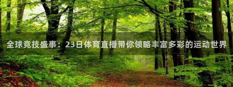 全球竞技盛事：23日体育直播带你领略丰富多彩的运动世界
