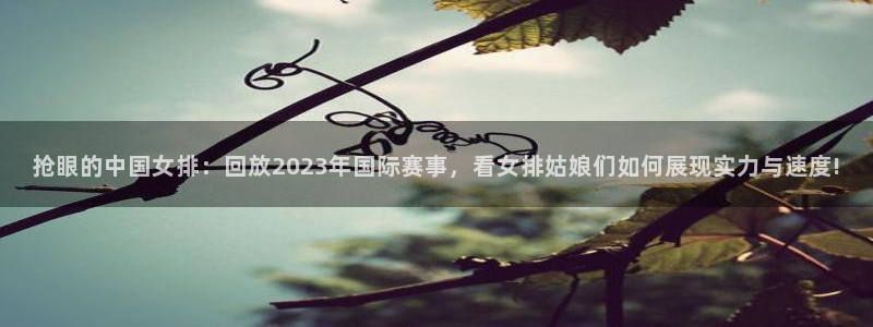 抢眼的中国女排：回放2023年国际赛事，看女排姑娘们如何展现实力与速度!