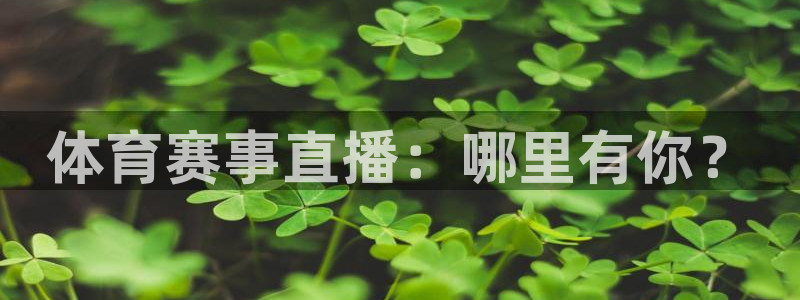 体育赛事直播：哪里有你？