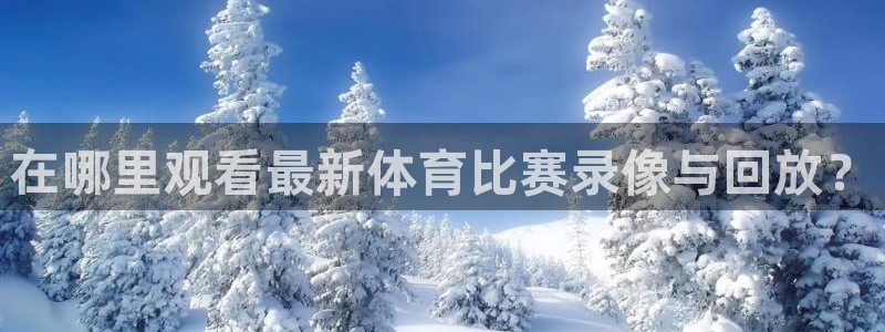 在哪里观看最新体育比赛录像与回放？