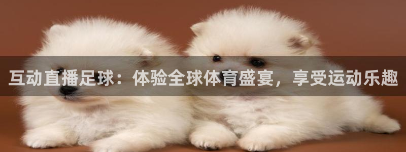 互动直播足球：体验全球体育盛宴，享受运动乐趣