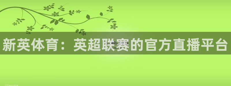 新英体育：英超联赛的官方直播平台