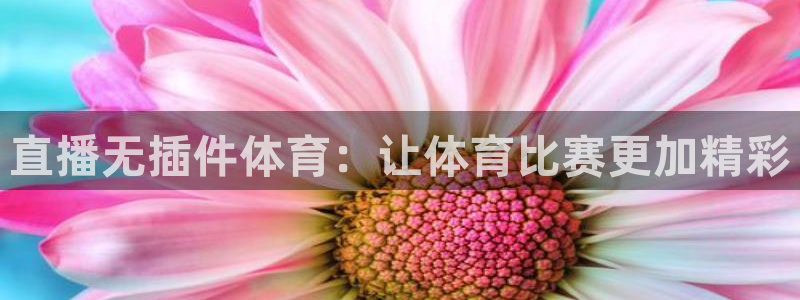 直播无插件体育：让体育比赛更加精彩