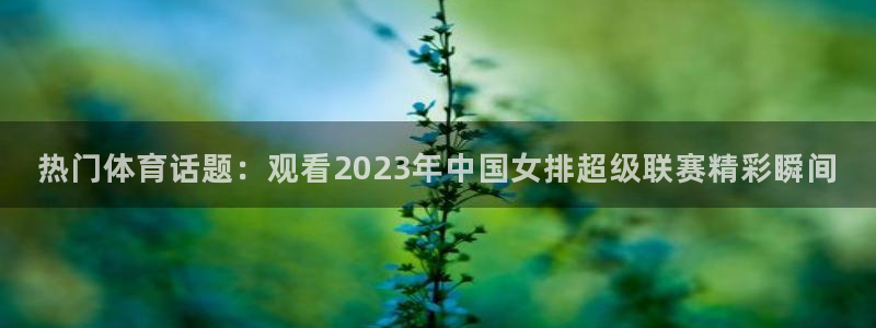热门体育话题：观看2023年中国女排超级联赛精彩瞬间