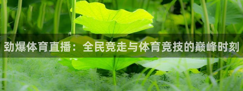 劲爆体育直播：全民竞走与体育竞技的巅峰时刻