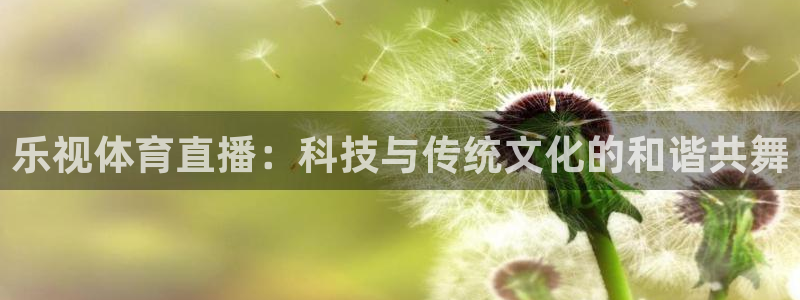 乐视体育直播：科技与传统文化的和谐共舞