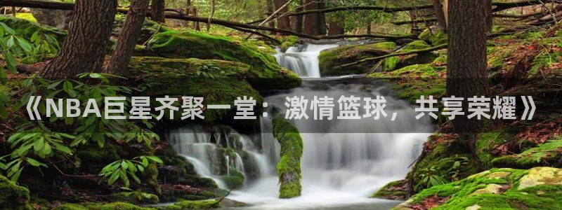 《NBA巨星齐聚一堂：激情篮球，共享荣耀》
