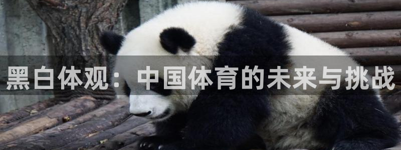 黑白体观：中国体育的未来与挑战