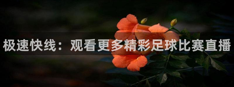 极速快线：观看更多精彩足球比赛直播