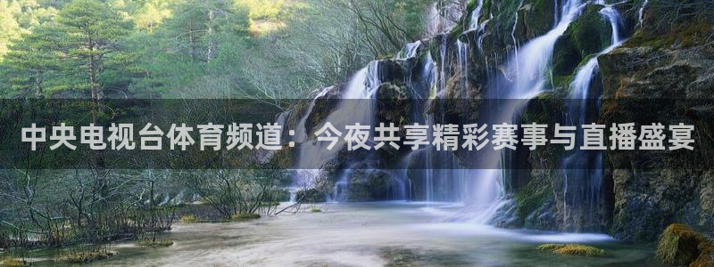 中央电视台体育频道：今夜共享精彩赛事与直播盛宴