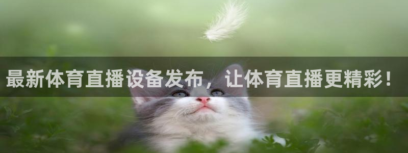 最新体育直播设备发布，让体育直播更精彩！